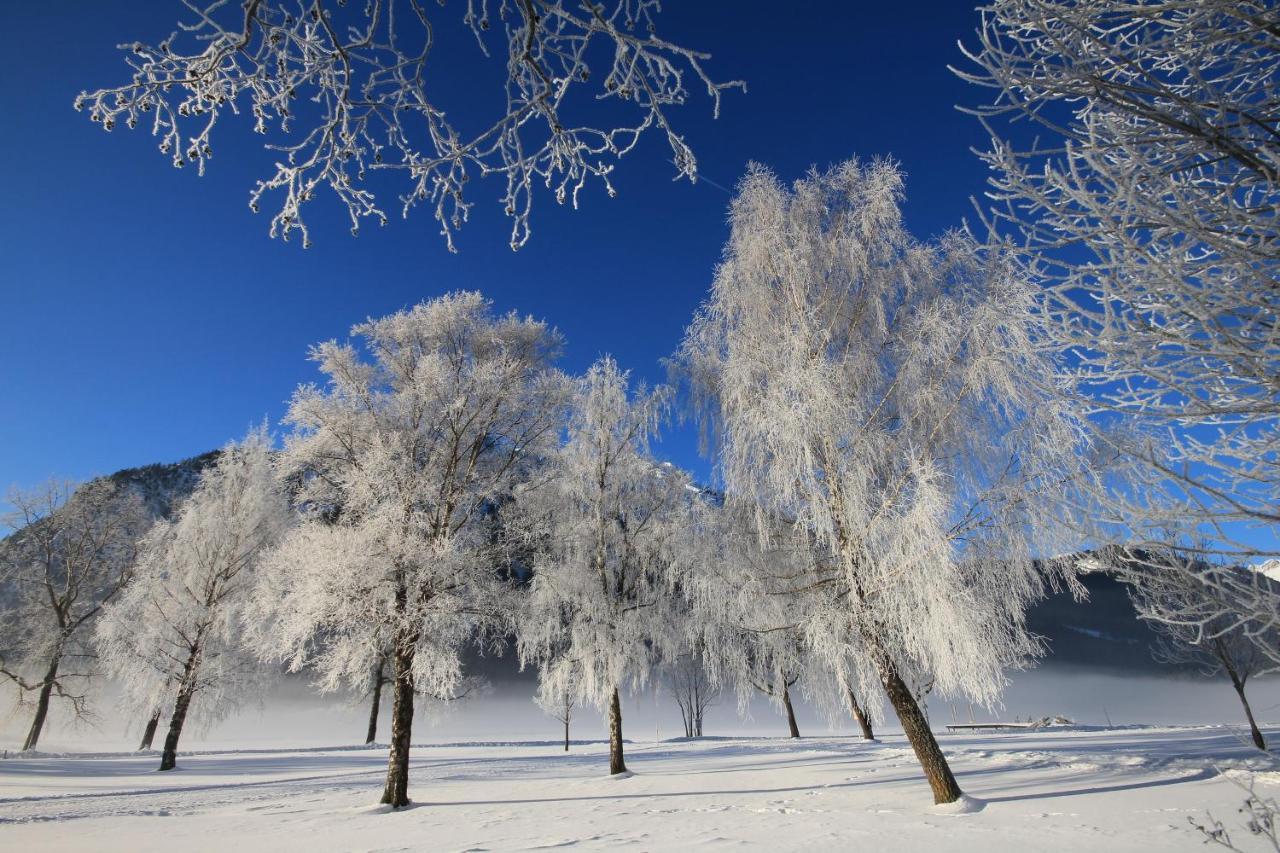Garni Das Sonnalp Maurach  Bagian luar foto